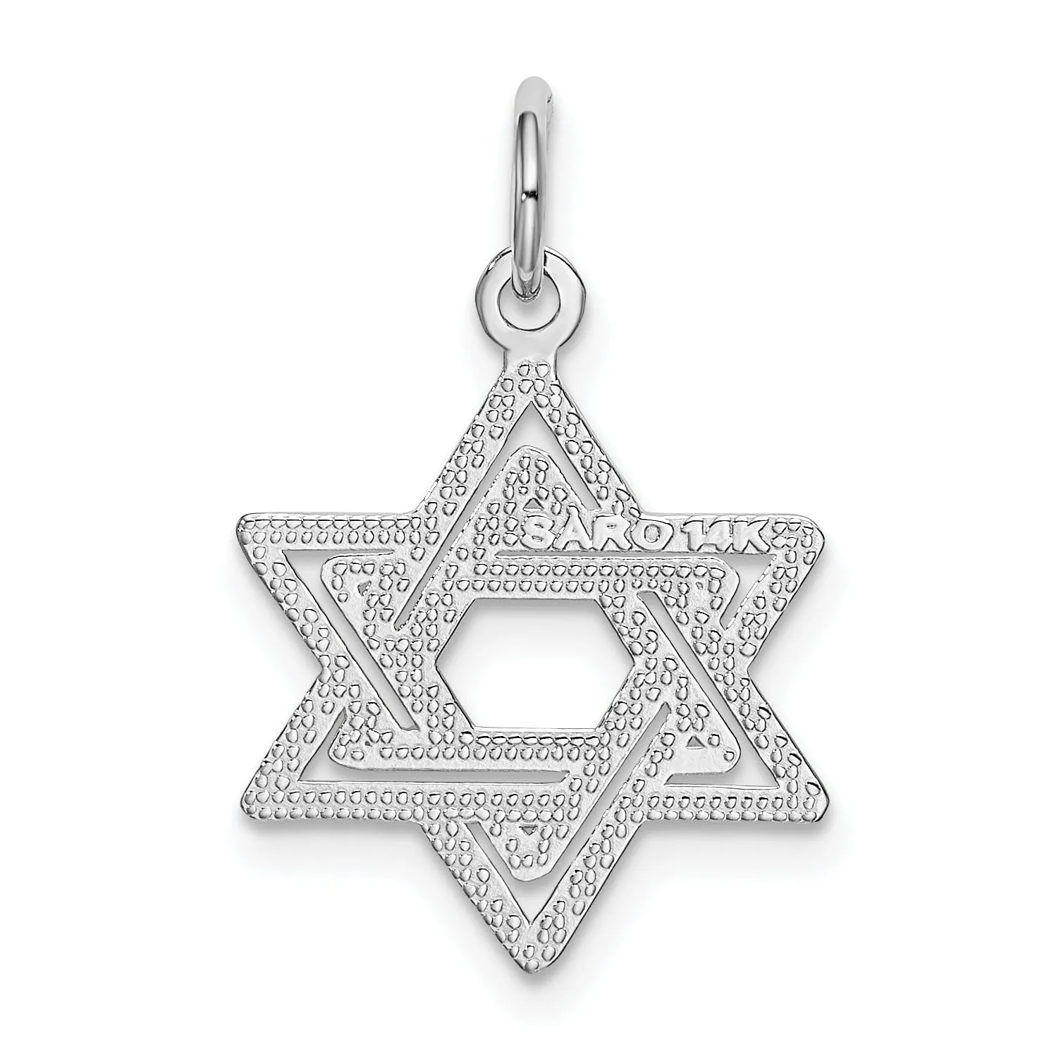 14K White Gold Rhodium Polished Finish Closed Back Solid Star of David Pendant