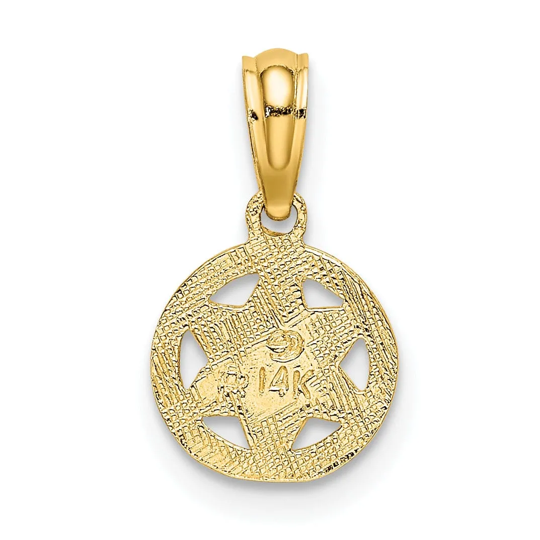 14K Yellow Gold Polish Finish Round Shape Star Of David Charm Pendant