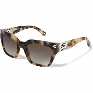 Contempo Dot Sunglasses