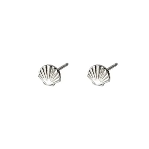 Shell stud earrings